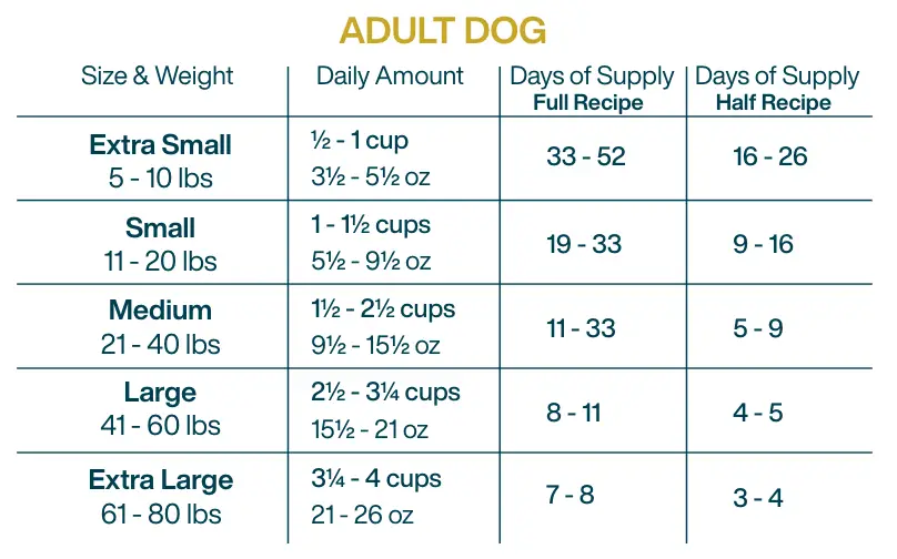 diy beef feeding guide